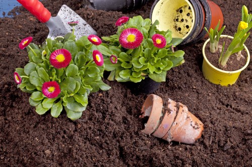 Professional landscaping team working on a garden in Wallington