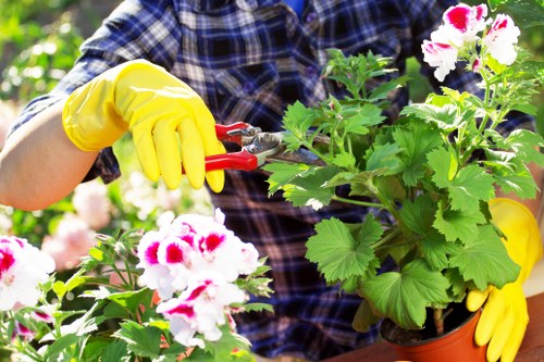 Landscape gardeners working on a residential garden in Wallington