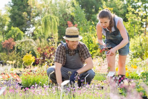 Lawn mowing service in Wallington for tidy residential gardens