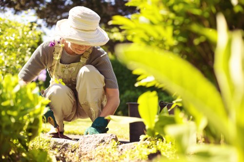 Professional hedge trimming service for a Wallington residential garden