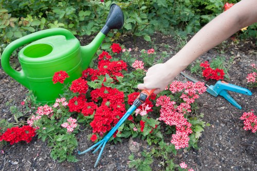 Detailed landscape planning and outdoor space improvement in Wallington