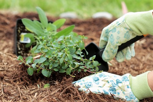 Reviewing a landscaping complaint with project records