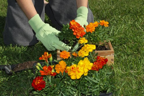 Careful mowing for a Wallington lawn with narrow access