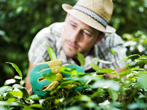 Site inspection during a landscaping service complaint
