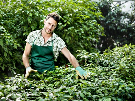 Screen-reader friendly page structure for Landscapers Wallington