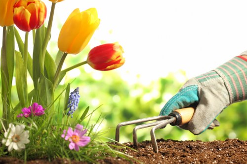 Professional garden upkeep for a neatly maintained Wallington garden