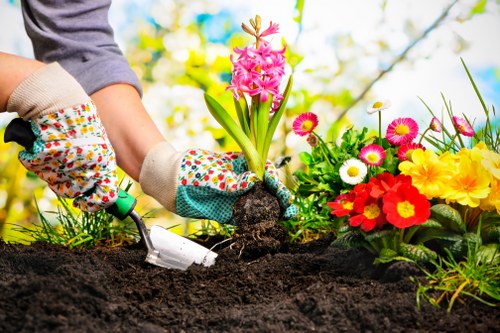 Seasonal garden maintenance for a Wallington home or business