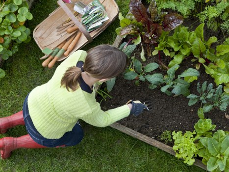 Thoughtful garden design and planting layout by Wallington landscapers