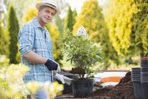 Professional insured rubbish company handling landscaping waste safely