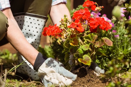 Escalated review of a landscaping complaint case