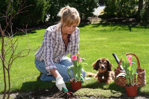 Local gardener trimming hedges and tidying a Wallington property