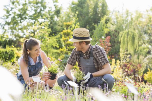 Local lawn maintenance visit for a home garden in Wallington